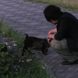 Shun Ozaki