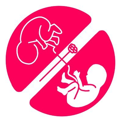 株式会社このめ