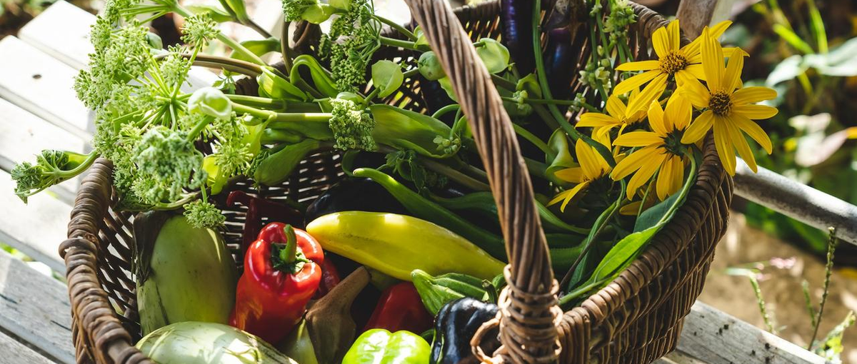 第二新卒歓迎。宿泊施設での企画を通じて、地方創生にチャレンジしてみませんか