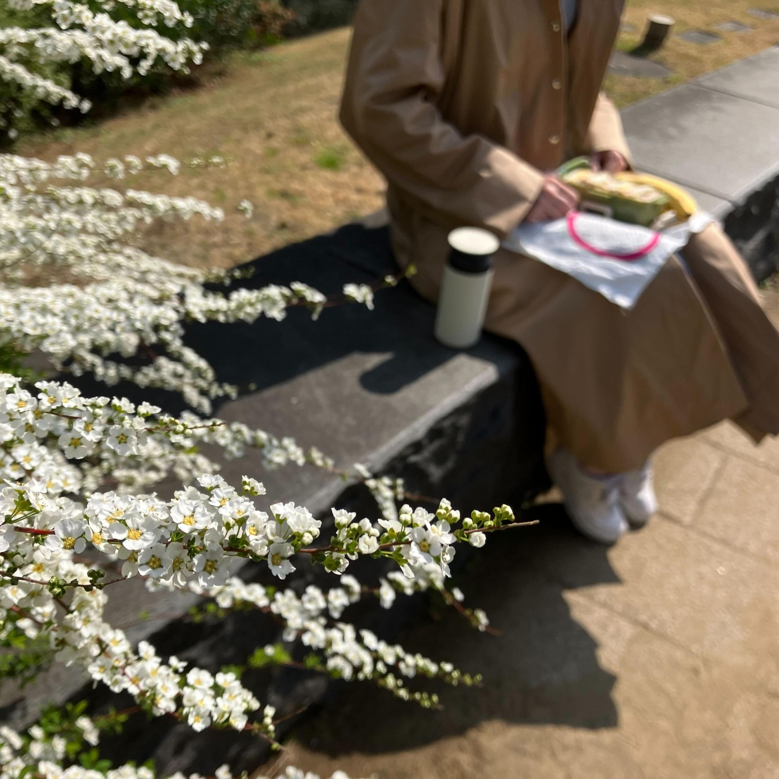 社内の様子はInstagramでも