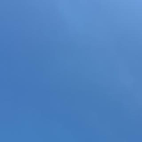 園田 ひかり