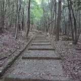 藤井 亮