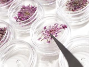 社会貢献になることを願い、様々な障がい者団体様ともお仕事として提携をし、丁寧に製造をしています。