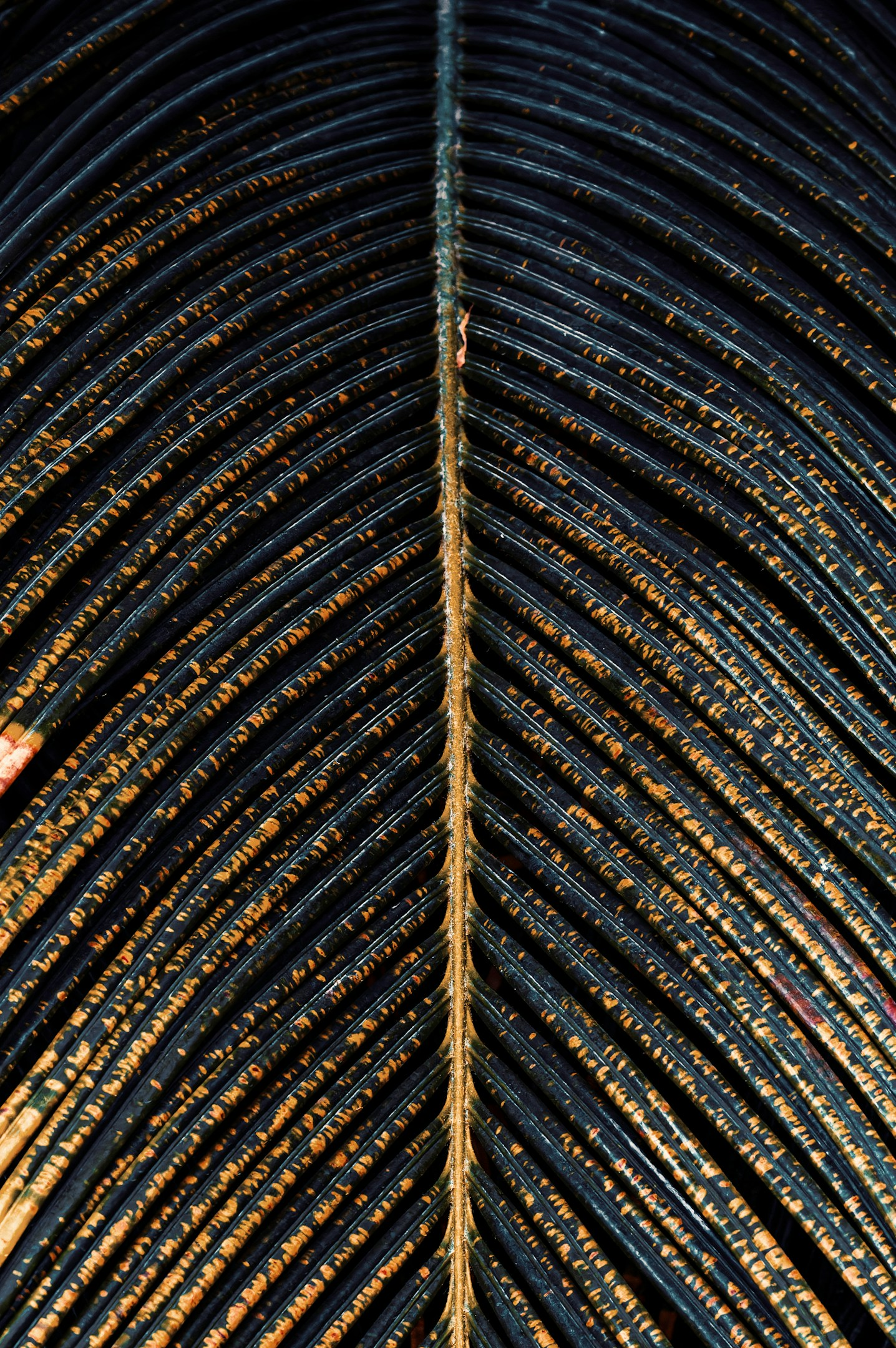 ITSベトナムを記事で取り上げていただきました。