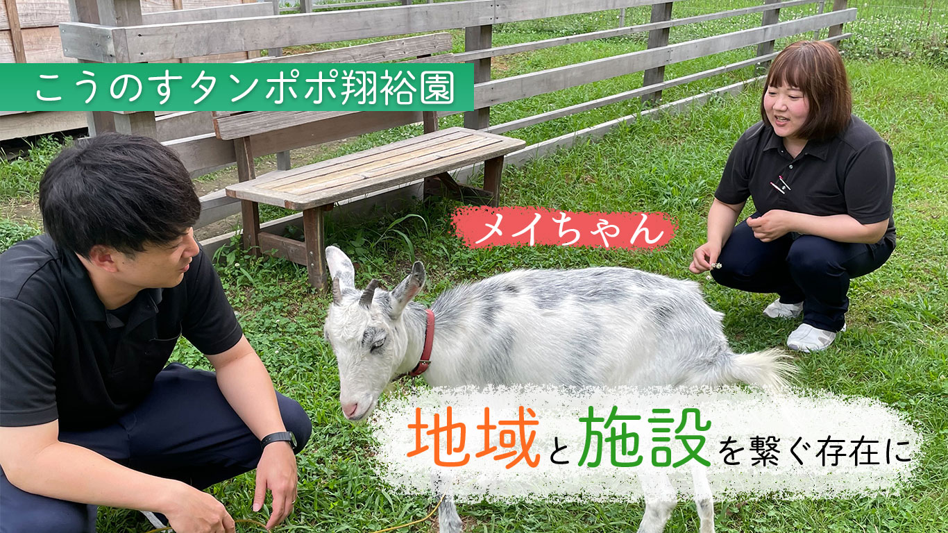 こうのすタンポポ翔裕園ヤギの「メイちゃん」～地域と施設を繋ぐ存在に～