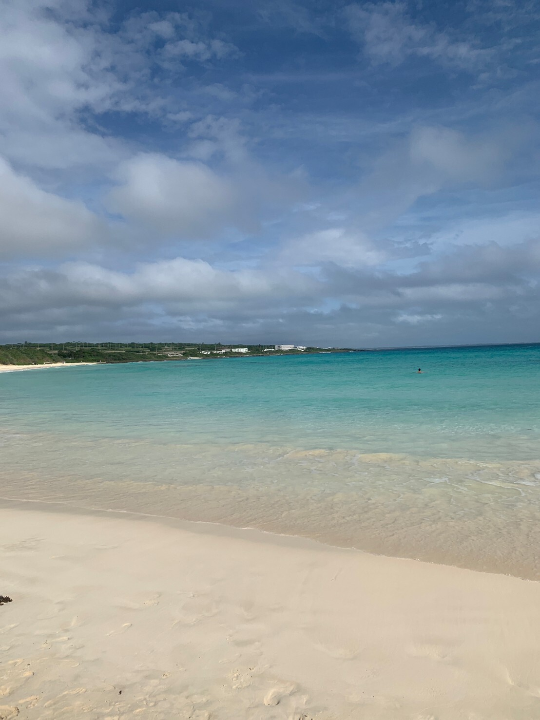 【CONVICTION 's Voice】エンジニア転職成功への道！スキルアップとキャリアチェンジの秘訣