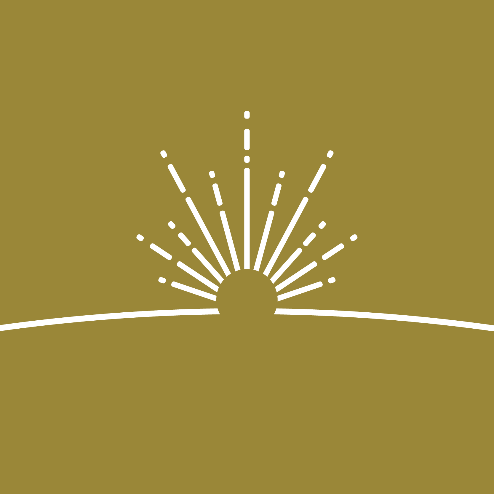 ファーストライト・キャピタル株式会社