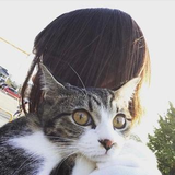 taniguchi