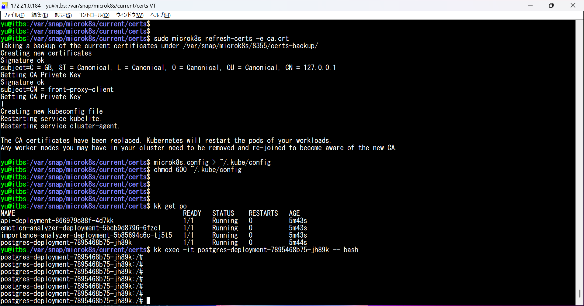 【トラブルシューティング】microk8sで「tls: failed to verify certificate」が発生した場合
