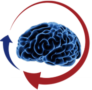 運動と仕事両立するための脳神経科学と理学療法に基づいたコネクト・メソッド