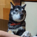 渡邉 俊輔