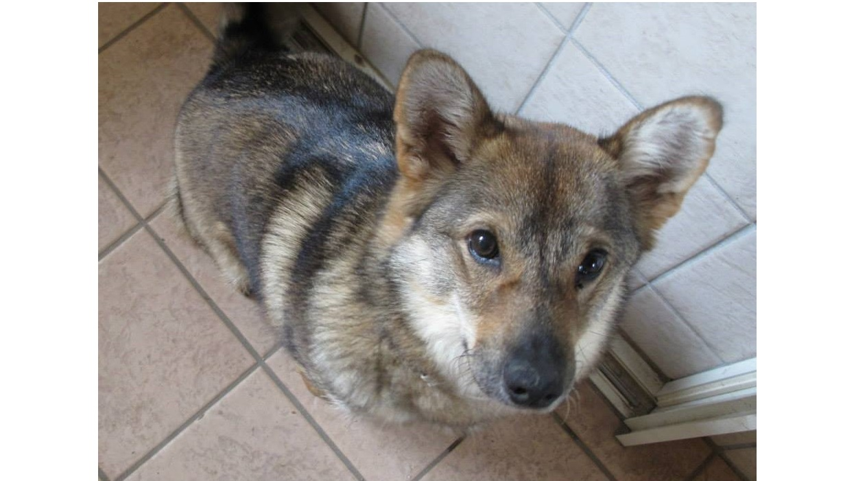 チャリティに興味はあるけれど、何から始めたらいいかわからない方へ