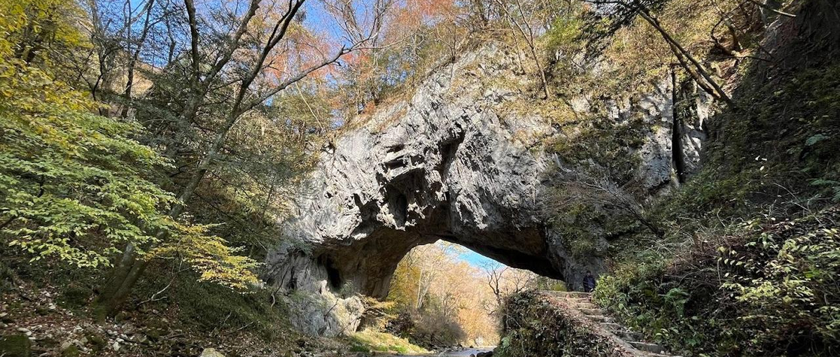 地域創生×観光|自由時間/場所|訪日外国人向けITサービス|高専・筑波出身