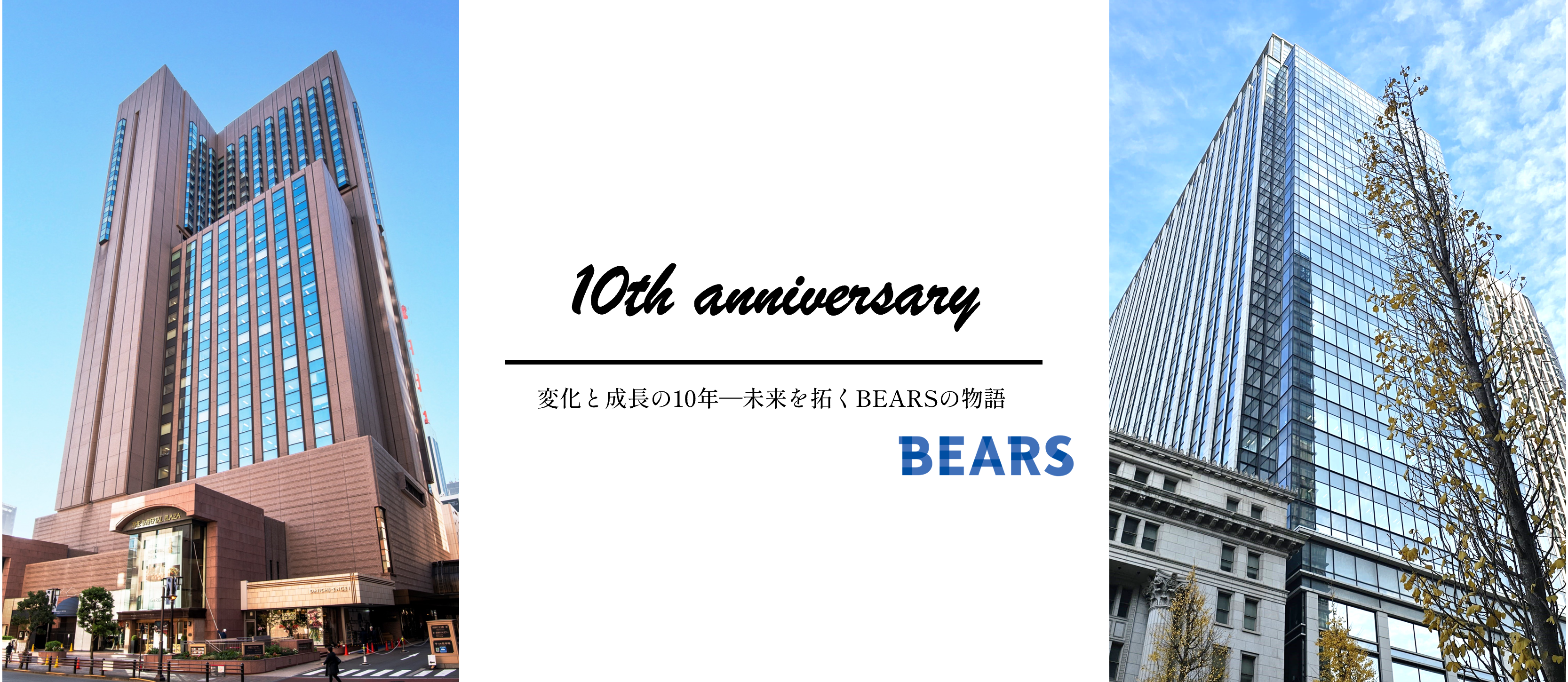 変化と成長の10年—未来を拓くBEARSの物語
