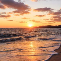 市川皓子さんのプロフィール