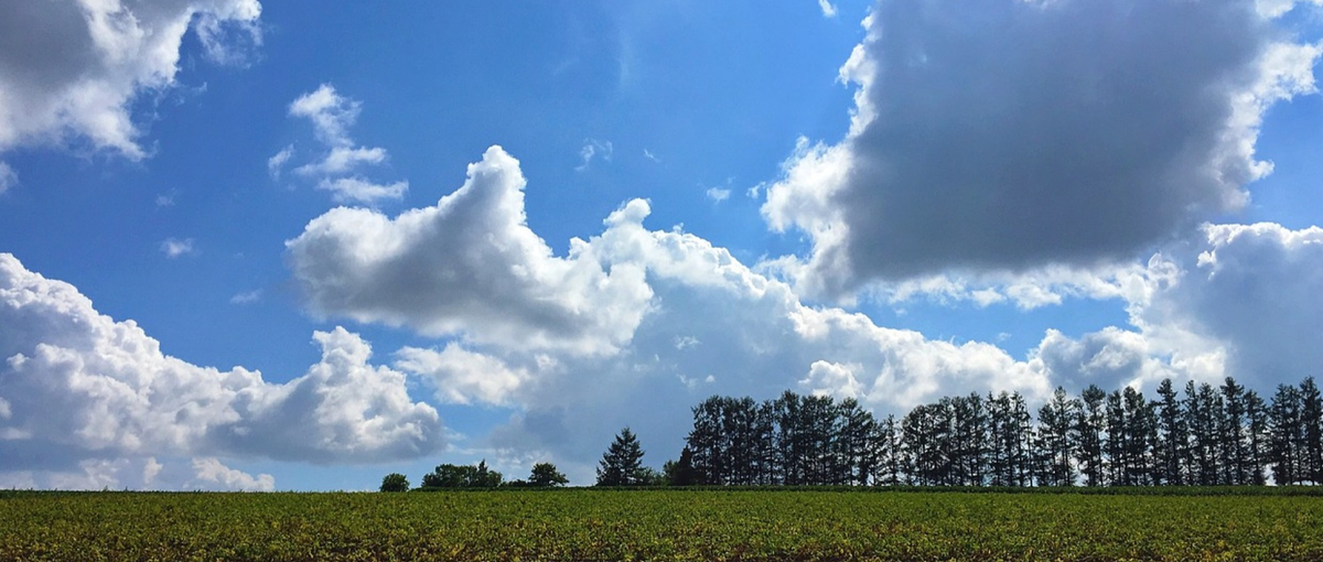 もう...疲れた！！ストレスフリーで自然を感じる札幌で働かないですか？
