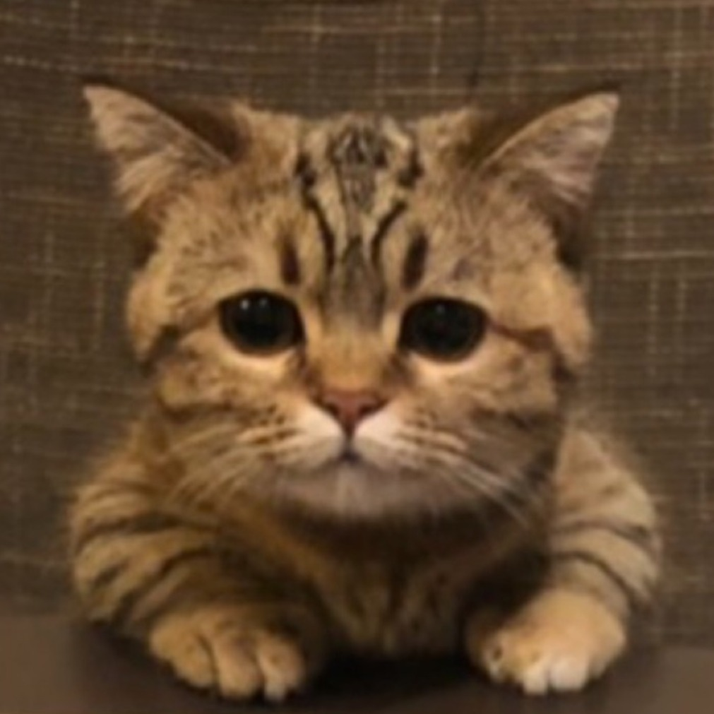 はら あゆみ