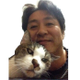 Masayuki Katayama