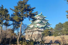 圧倒的な裁量権とともに、あなたにあった業務をお任せします