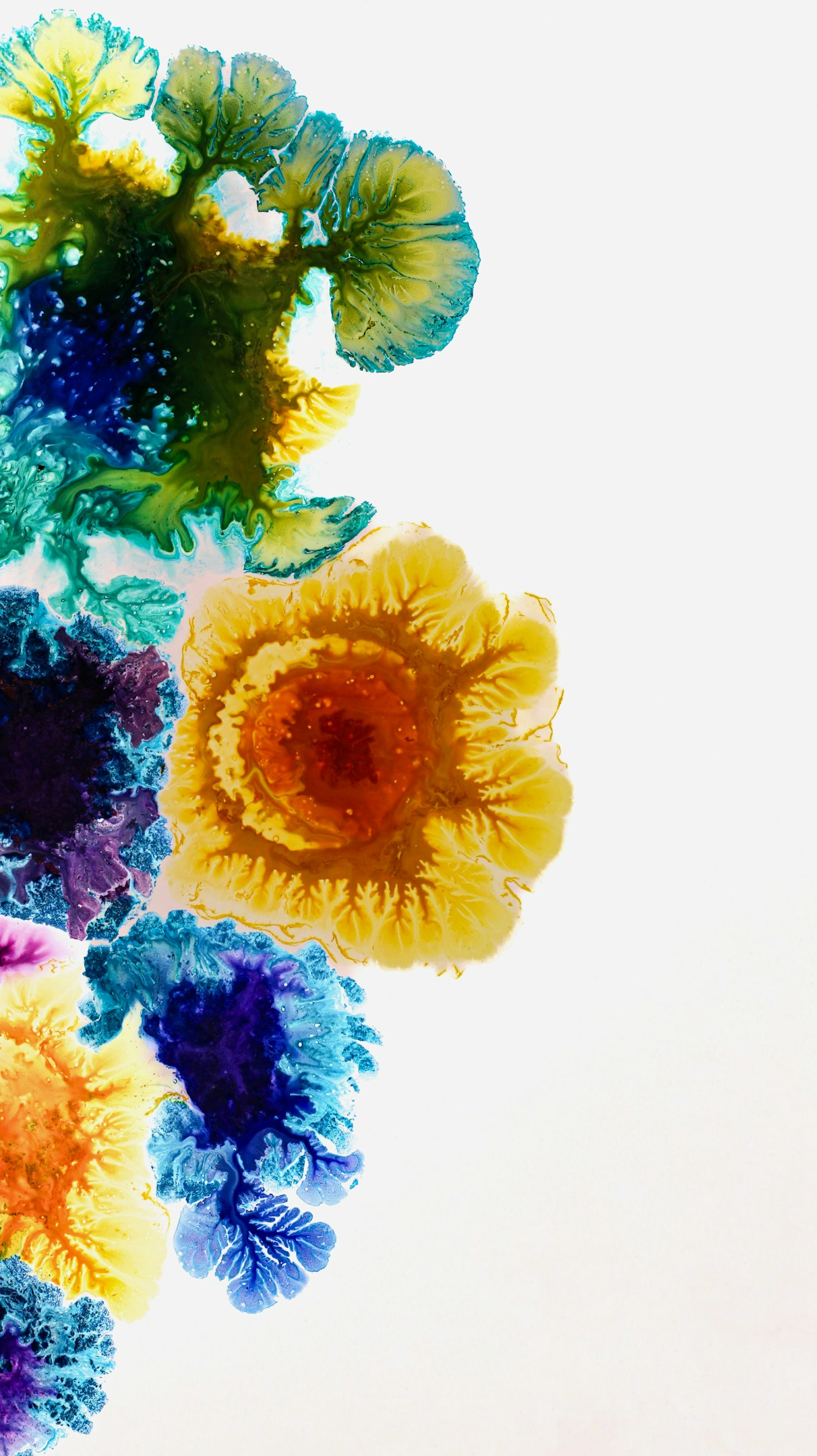 来週から社会人…！と緊張しているあなたへ