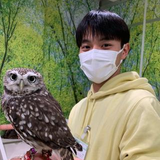 吉本 大志