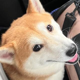 松村 晃洋