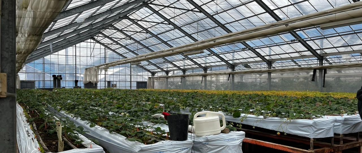 新規事業立ち上げ！ホテル直営の自社農園として価値を最大化できる方募集！