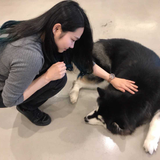 Chiba Shiori