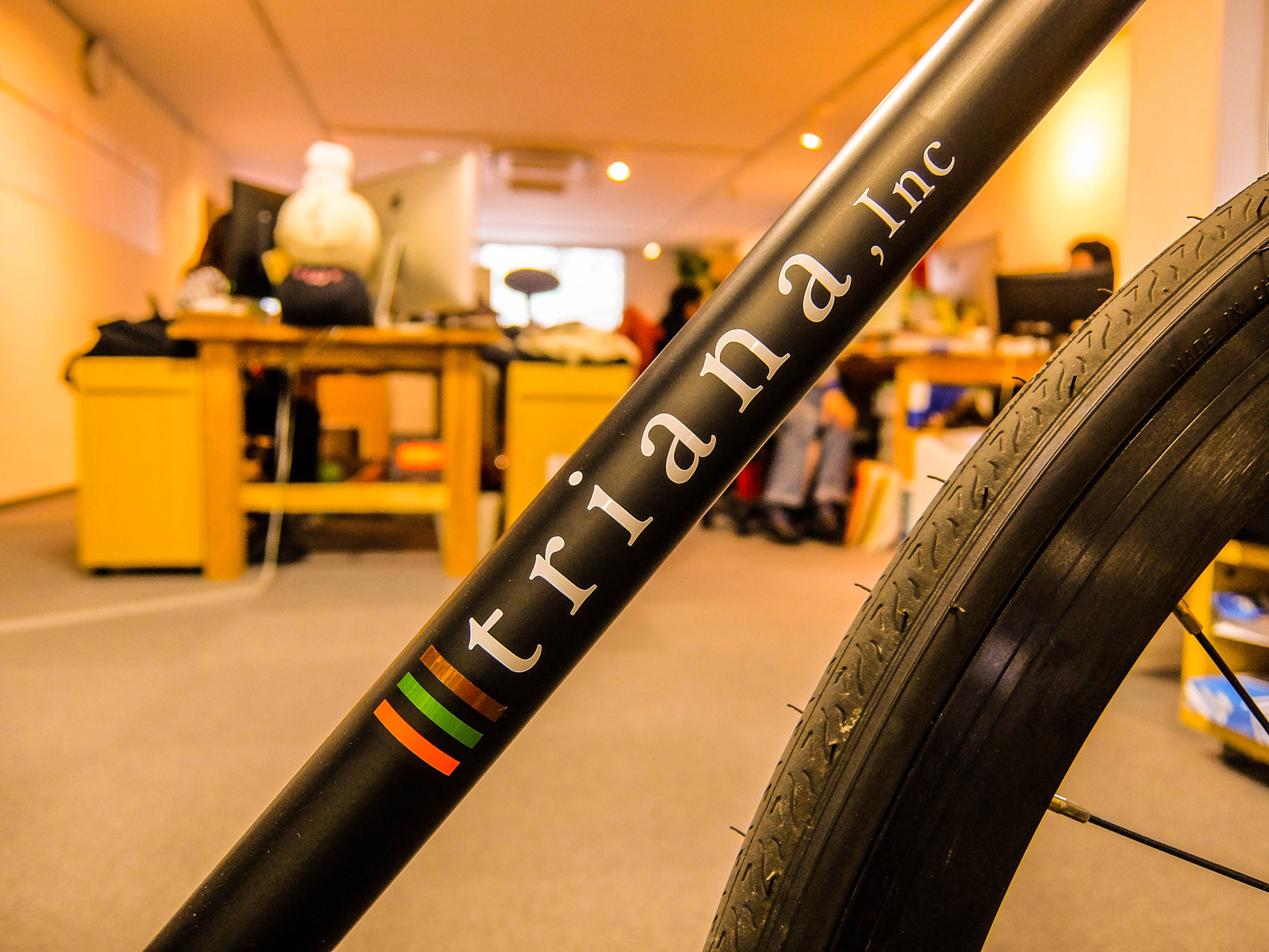 トリアナの理念ができるまで