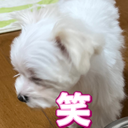 衣川 正一