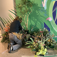 植物で空間を彩る、グリーンコーディネートを行っています。