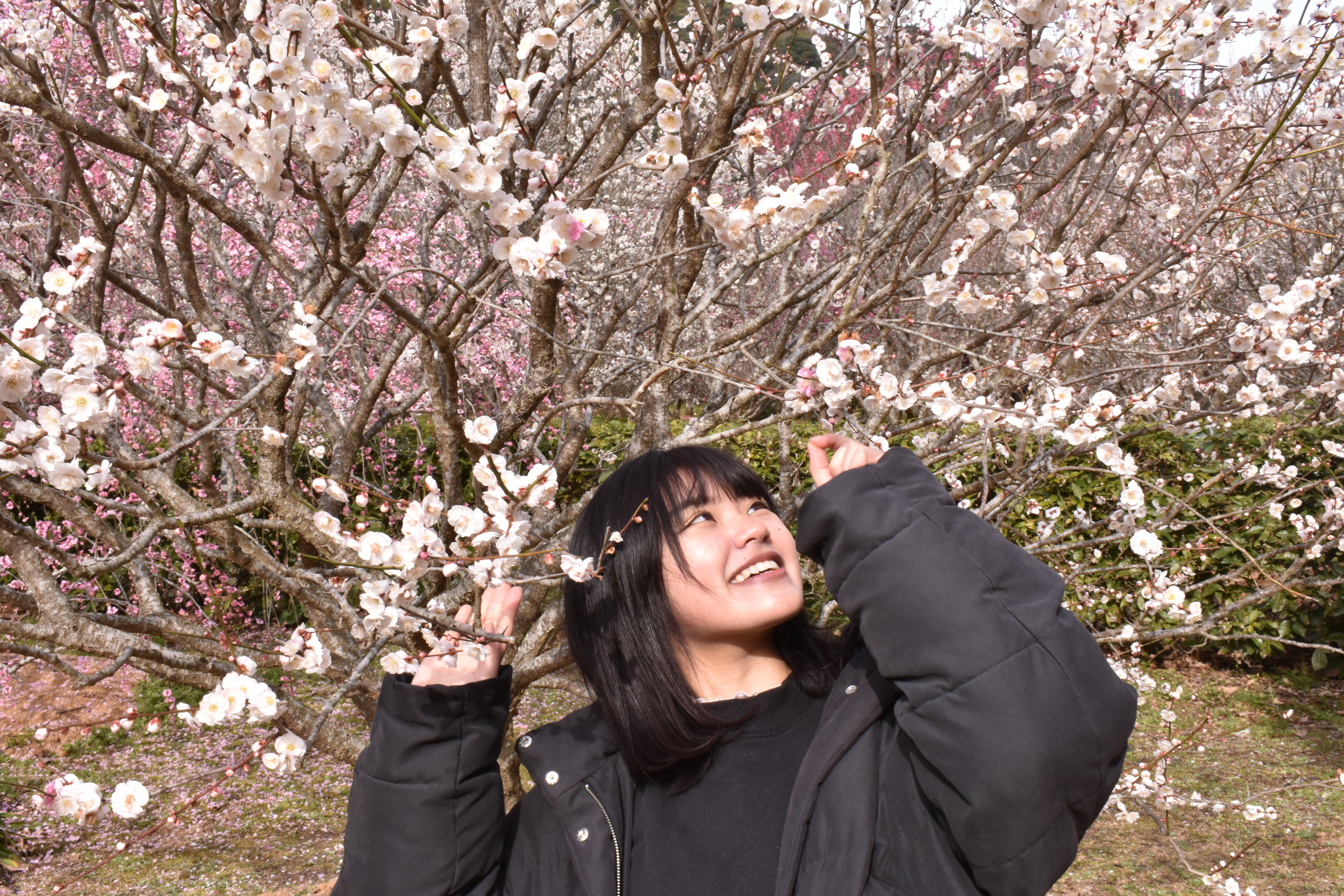 Tsugumi Kanezaki