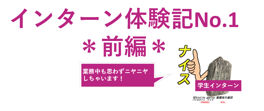 【インターン体験記】No.1＊前編＊　マンガ制作会社？LEGIKAって何？～勤務１か月半のひよっこ学生インターンによる正直レポ～