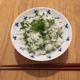 佐藤菜採