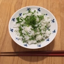 佐藤菜採
