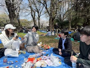 お花見の様子