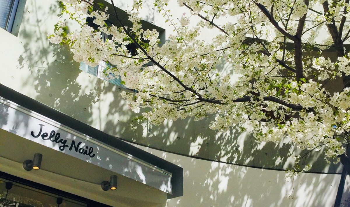 IML流誕生日祝い