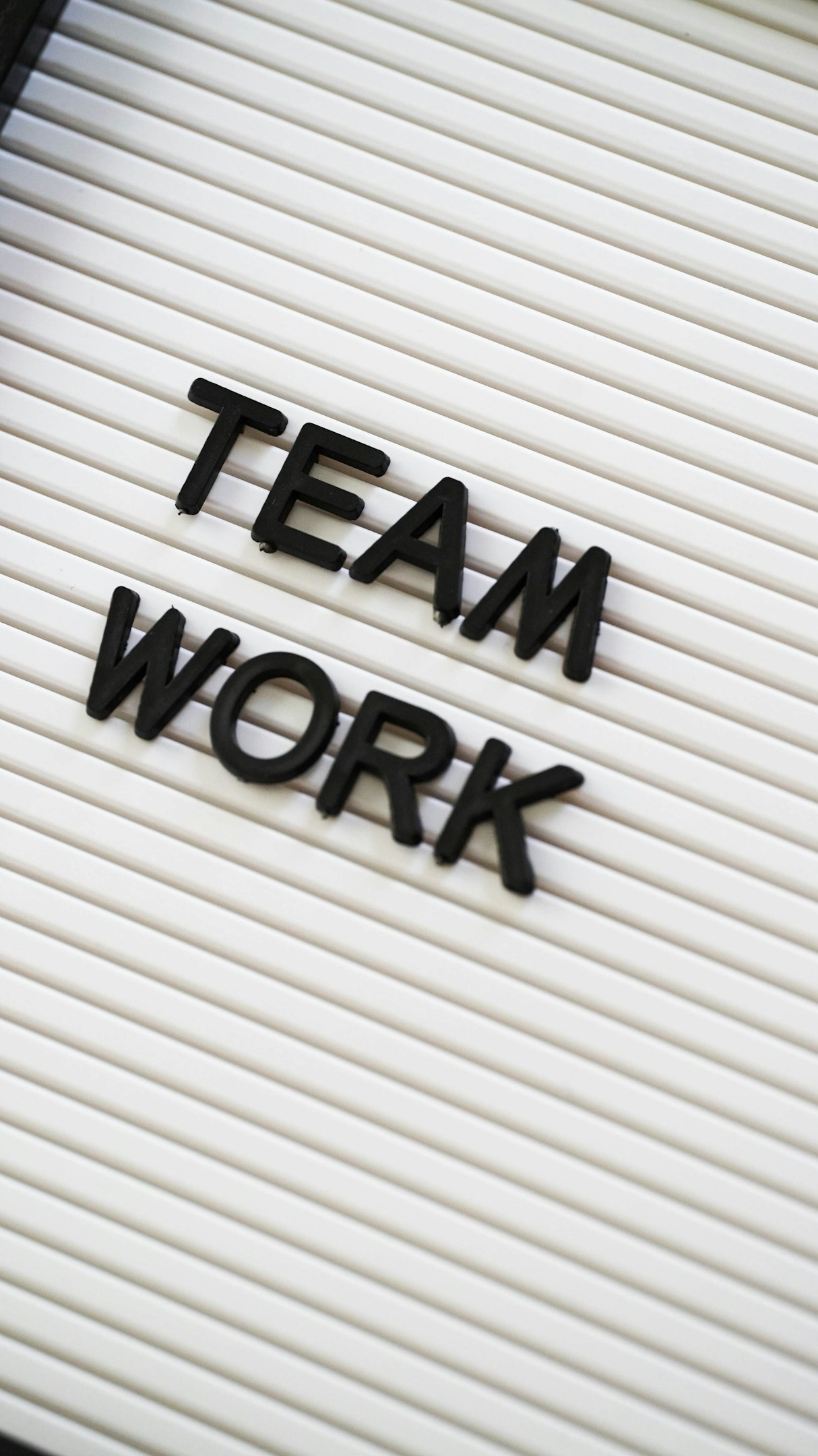 新しい仲間が増えました。　その１