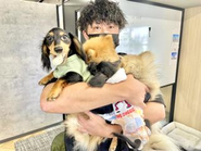 弊社ではペットを飼っている社員が沢山！社内イベントにも連れて来てくれたり✨癒されますね！