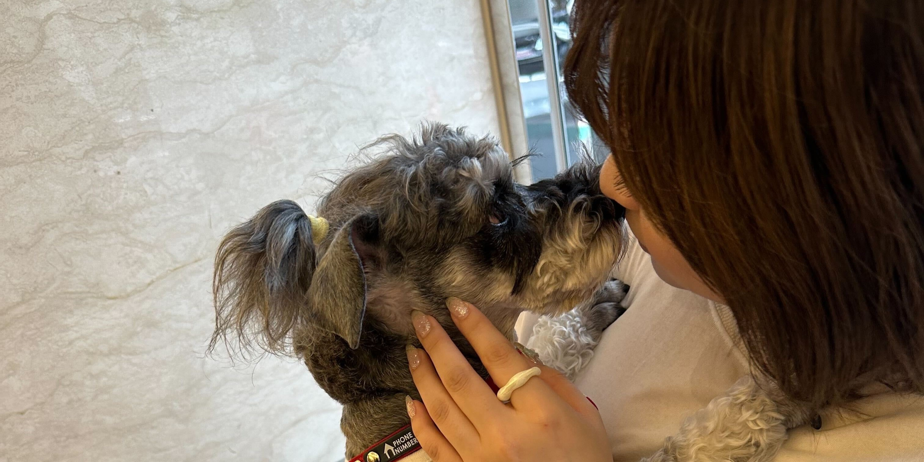 総務労務担当の2025夏季休暇 ┃台湾に帰省編✈️