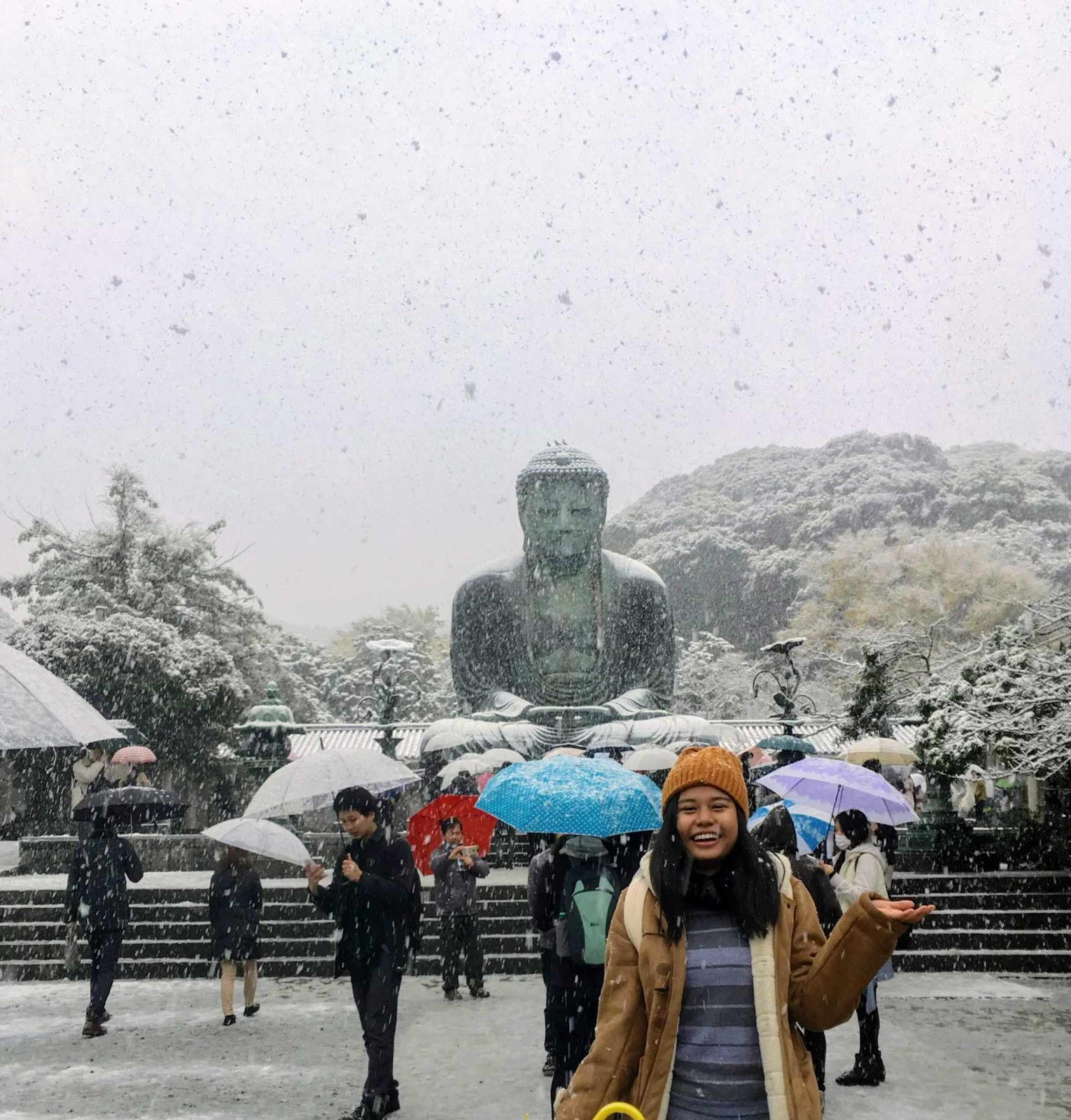 文化移民―越境する日本の若者とメディア 文化移民―越境する日本の若者とメディア 文化移民―越境する日本
