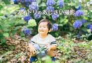 毎月、季節をテーマにした撮影会を実施