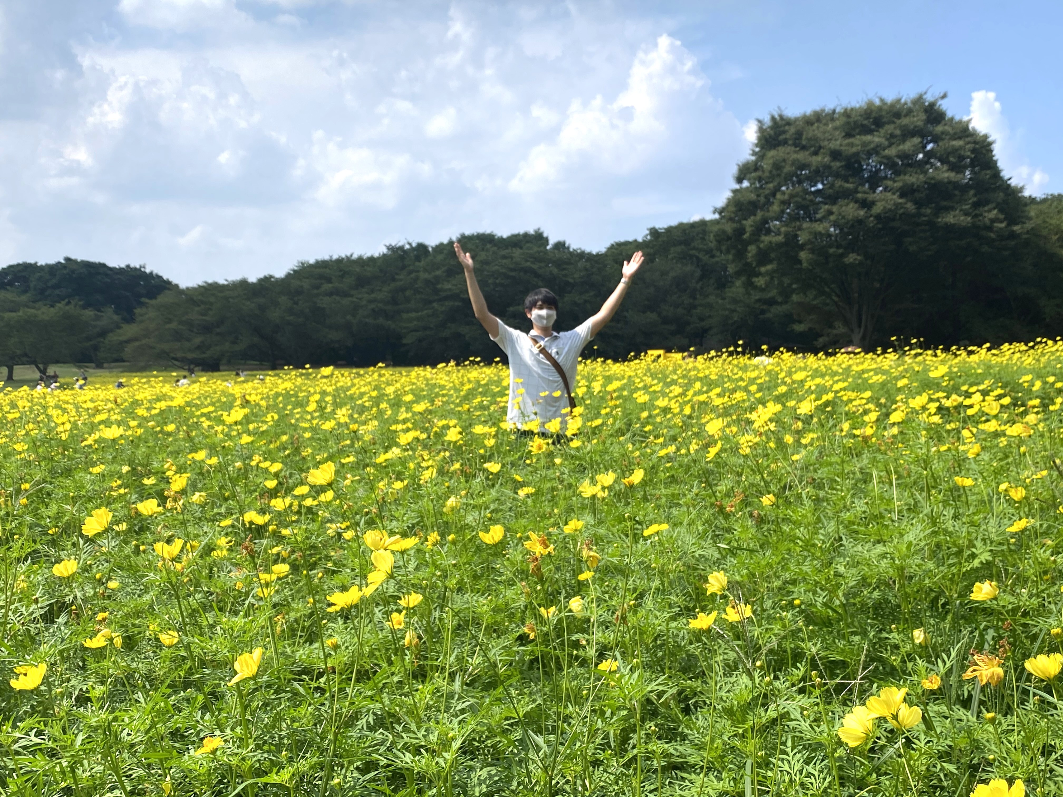 ～ダイバージェンスの魅力～在宅勤務で変わった私の働き方