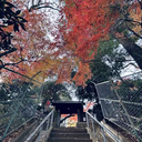 加藤 紗愛
