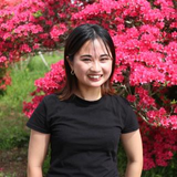 石田 華美