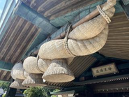 出張先では時間があれば観光などもできます！写真は島根県にある出雲大社です。皆様と良いご縁で結ばれますように！