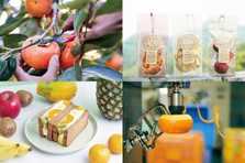 果実園×加工×販売×カフェ！六次産業化を目指すカフェのオープニング募集♪