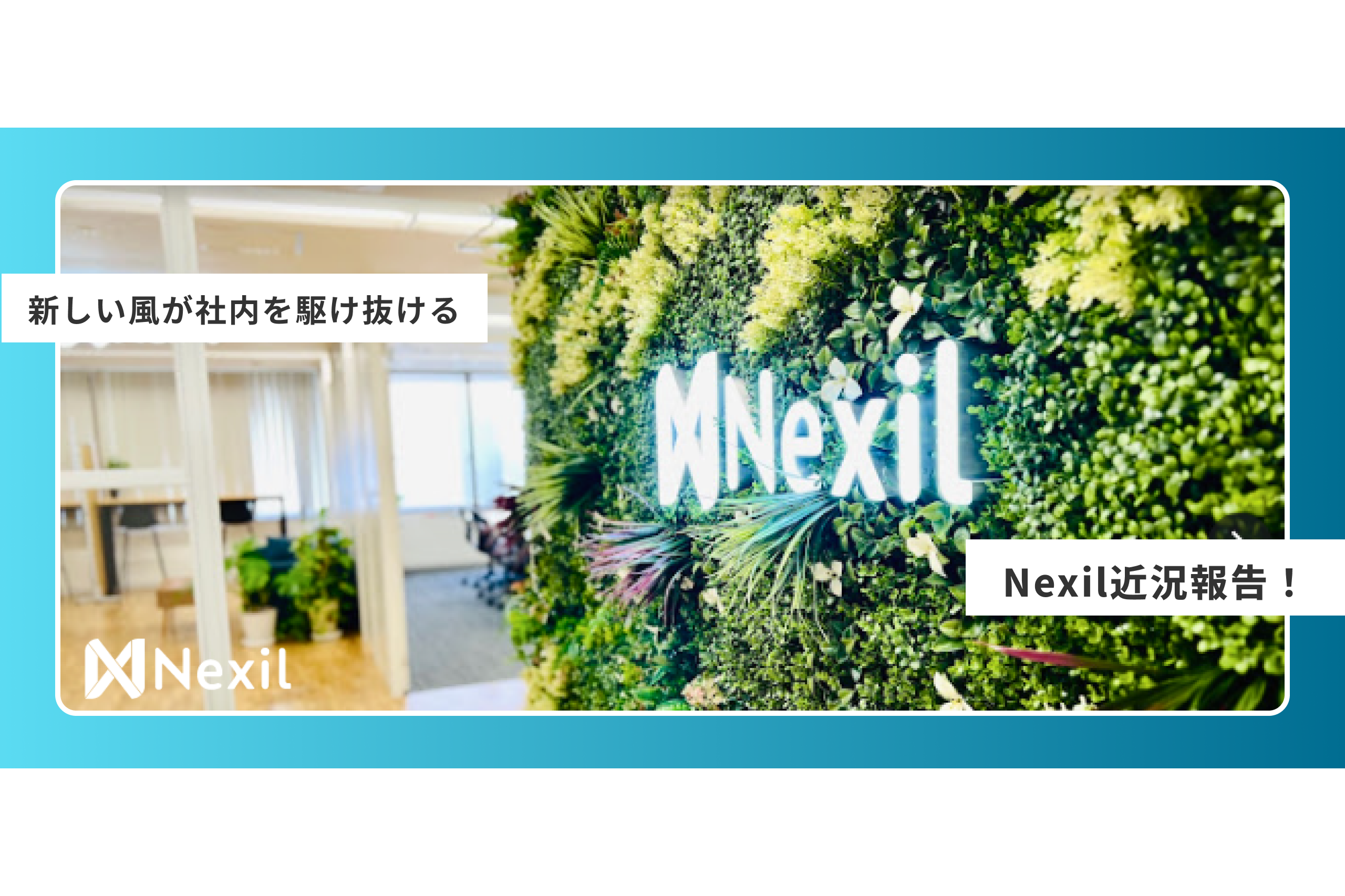 最近のNexil近況報告！！