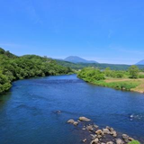 山本 陽司