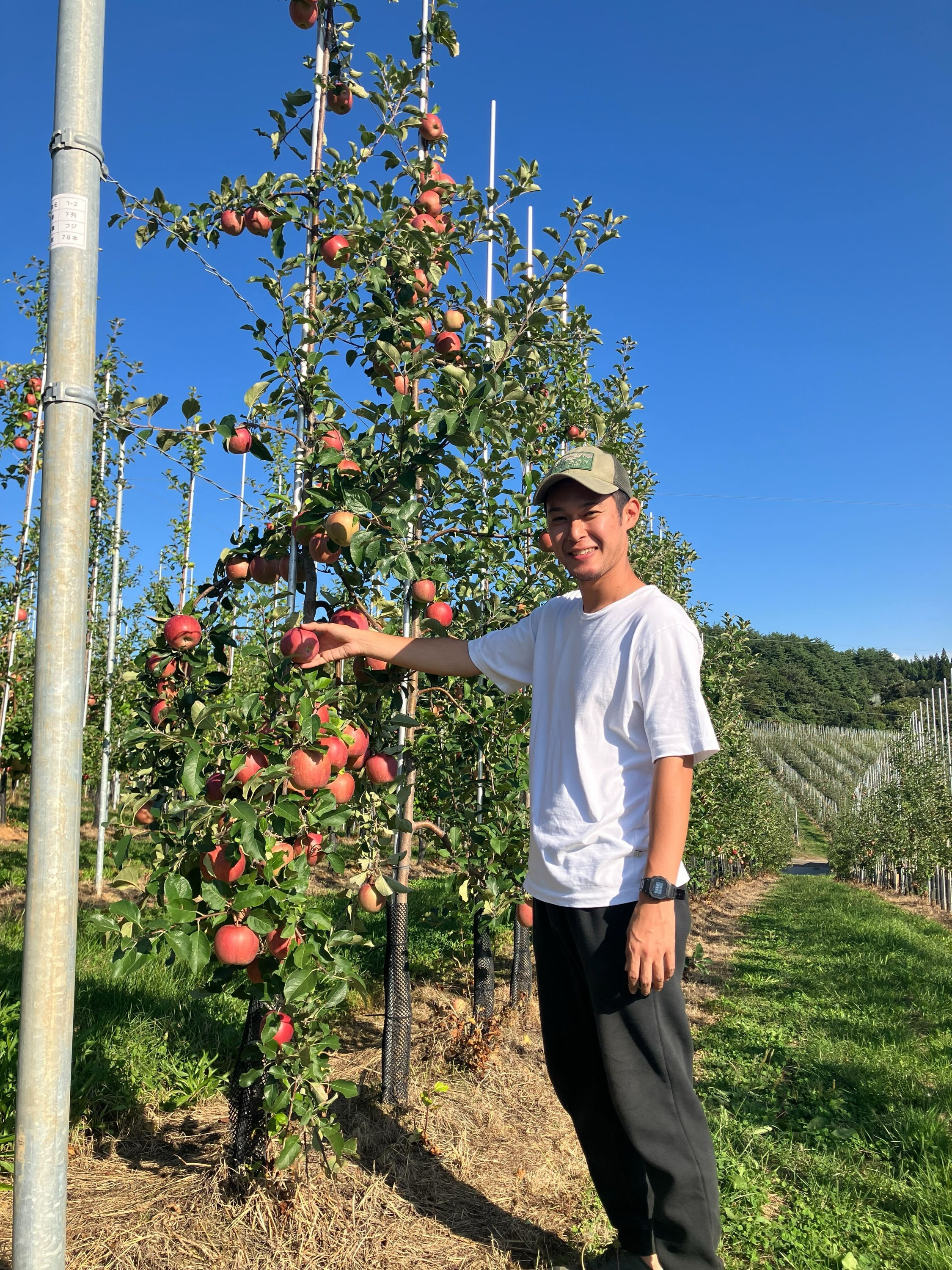 【社員インタビュー#44】農業開発事業本部 生産部 りんごチーム 課長｜石田さん